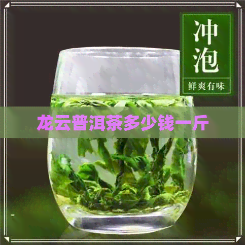 龙云普洱茶多少钱一斤