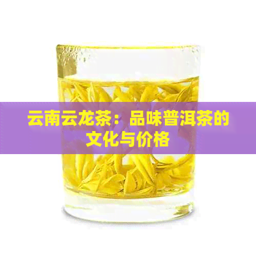 云南云龙茶：品味普洱茶的文化与价格