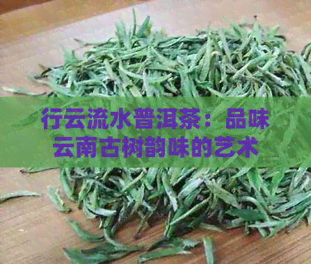 行云流水普洱茶：品味云南古树韵味的艺术