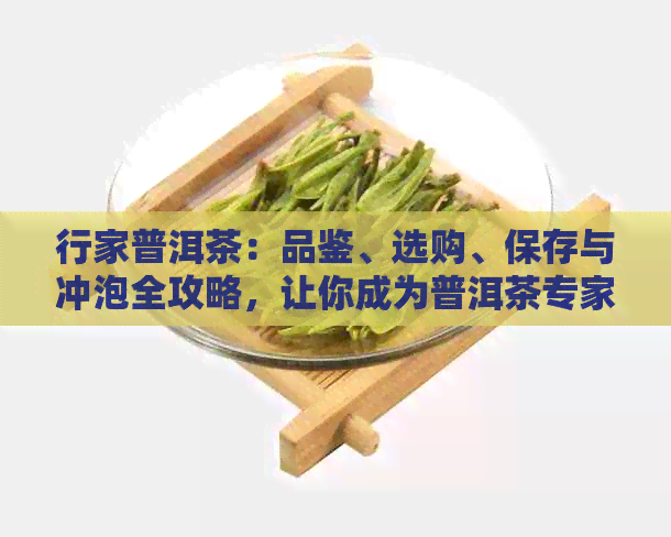 行家普洱茶：品鉴、选购、保存与冲泡全攻略，让你成为普洱茶专家