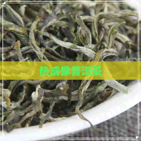 热成像普洱茶