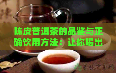 陈皮普洱茶的品鉴与正确饮用方法：让你喝出更好的口感和健效益