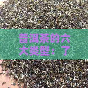 普洱茶的六大类型：了解各种普洱茶的特点与区别，帮助你选购合适的茶叶