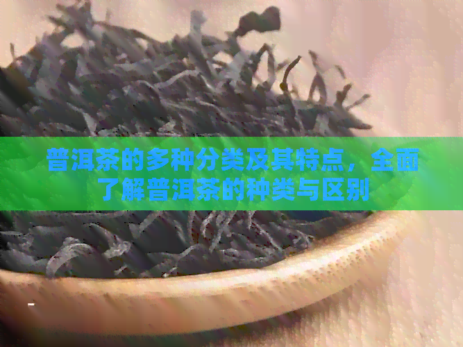 普洱茶的多种分类及其特点，全面了解普洱茶的种类与区别