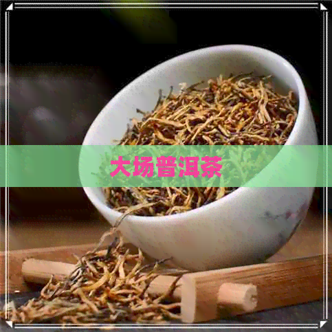 大场普洱茶