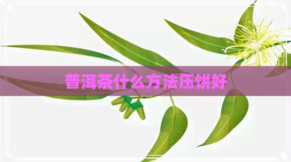 普洱茶什么方法压饼好