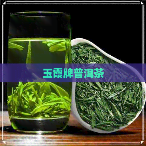 玉霞牌普洱茶