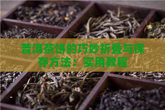 普洱茶饼的巧妙折叠与保存方法：实用教程