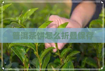 普洱茶饼怎么折叠保存