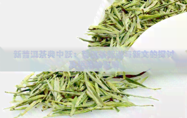 新普洱茶典中跃：普洱茶新说与新文的探讨及绍荣的影响