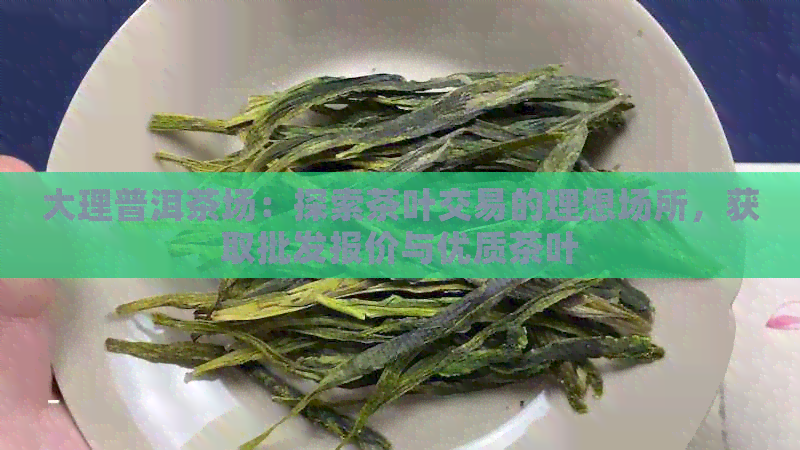 大理普洱茶场：探索茶叶交易的理想场所，获取批发报价与优质茶叶