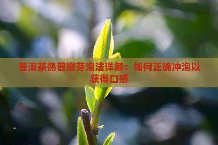 普洱茶熟普嫩芽泡法详解：如何正确冲泡以获得口感