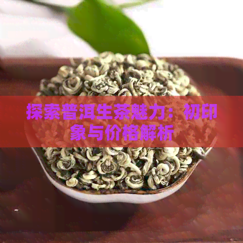 探索普洱生茶魅力：初印象与价格解析