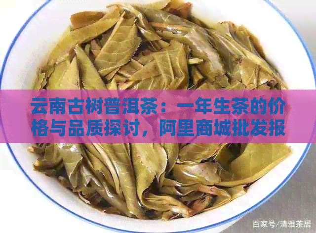 云南古树普洱茶：一年生茶的价格与品质探讨，阿里商城批发报价