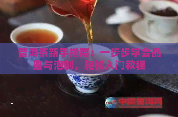 普洱茶新手指南：一步步学会品鉴与泡制，轻松入门教程