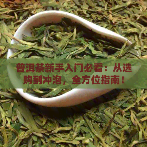 普洱茶新手入门必看：从选购到冲泡，全方位指南！