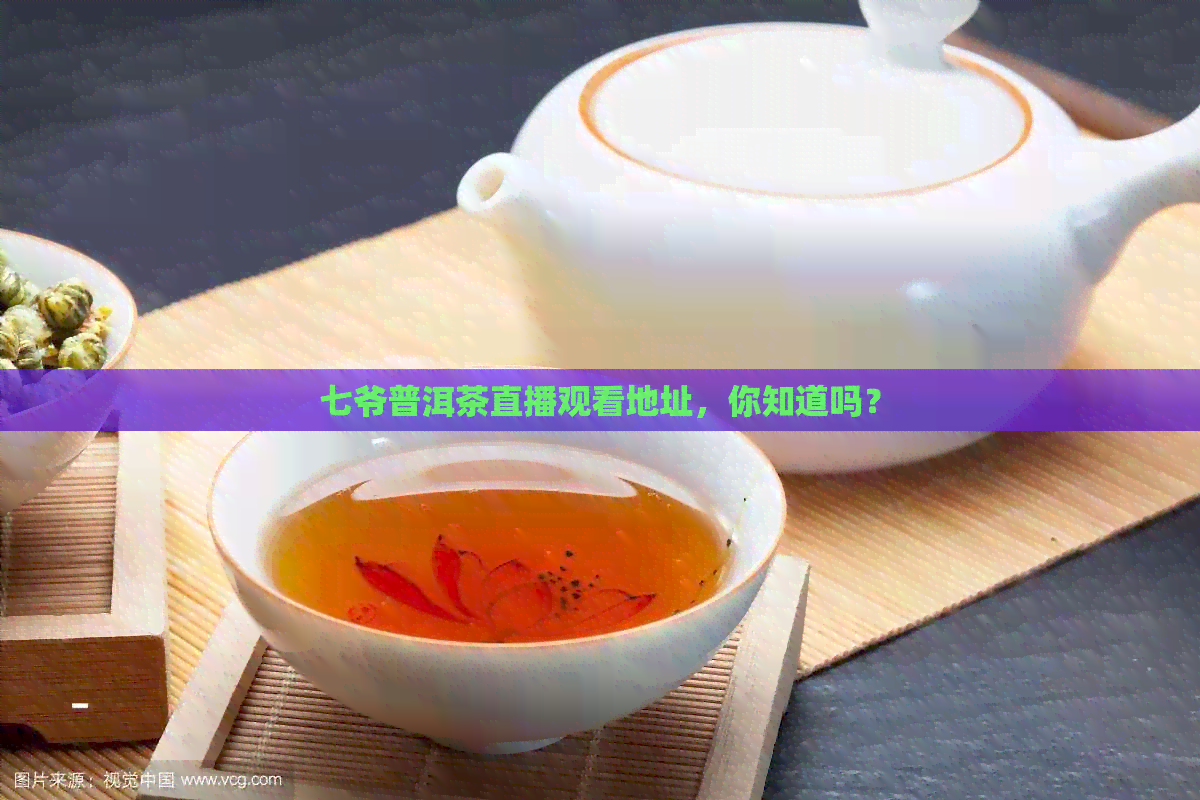 七爷普洱茶直播观看地址，你知道吗？