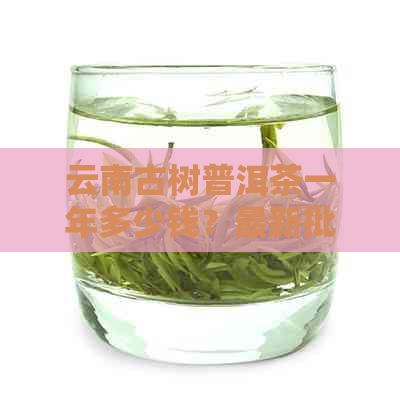 云南古树普洱茶一年多少钱？最新批发价格及对比