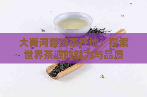 大箐河普洱茶产地：探索世界茶源的魅力与品质