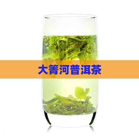 大箐河普洱茶