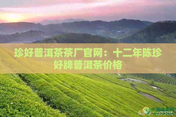 珍好普洱茶茶厂官网：十二年陈珍好牌普洱茶价格