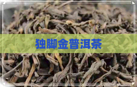 独脚金普洱茶