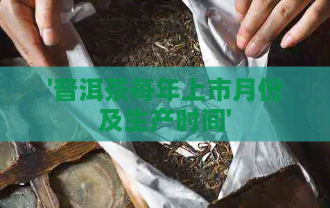 '普洱茶每年上市月份及生产时间'