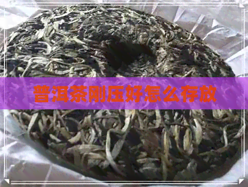 普洱茶刚压好怎么存放