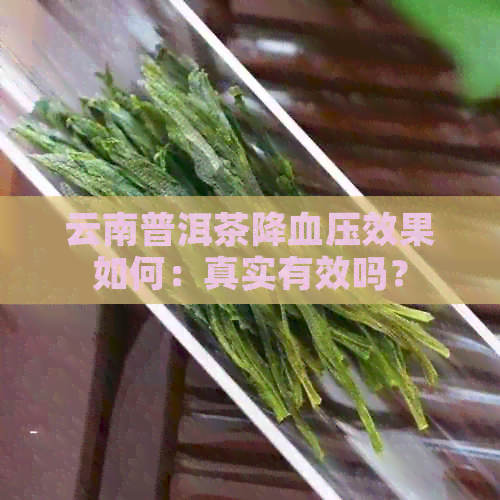 云南普洱茶降血压效果如何：真实有效吗？