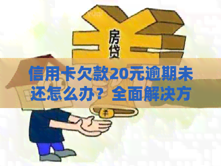 信用卡欠款20元逾期未还怎么办？全面解决方案和建议