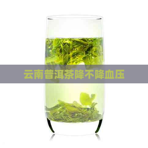 云南普洱茶降不降血压