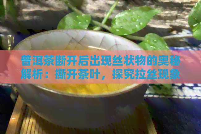 普洱茶断开后出现丝状物的奥秘解析：撕开茶叶，探究拉丝现象背后的原因