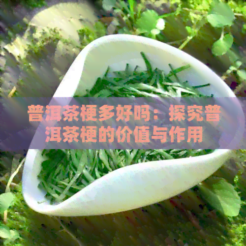 普洱茶梗多好吗：探究普洱茶梗的价值与作用