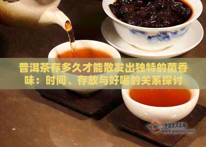 普洱茶存多久才能散发出独特的菌香味：时间、存放与好喝的关系探讨