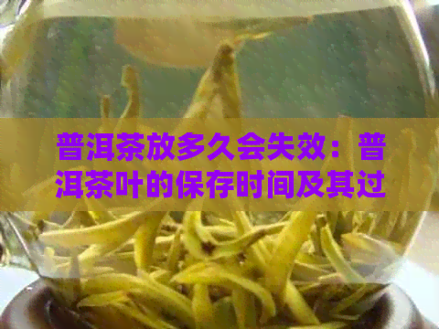 普洱茶放多久会失效：普洱茶叶的保存时间及其过期表现