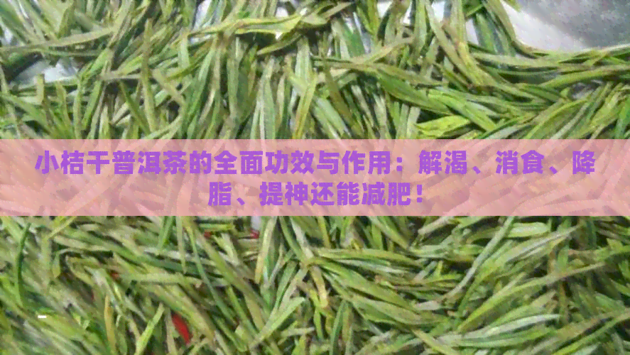 小桔干普洱茶的全面功效与作用：解渴、消食、降脂、提神还能减肥！