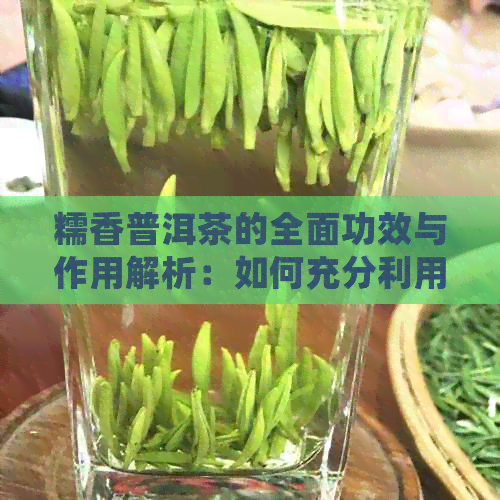 糯香普洱茶的全面功效与作用解析：如何充分利用这一珍贵茶叶的健益处？