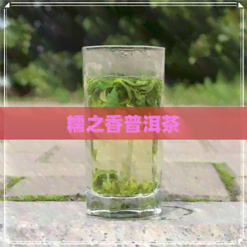 糯之香普洱茶