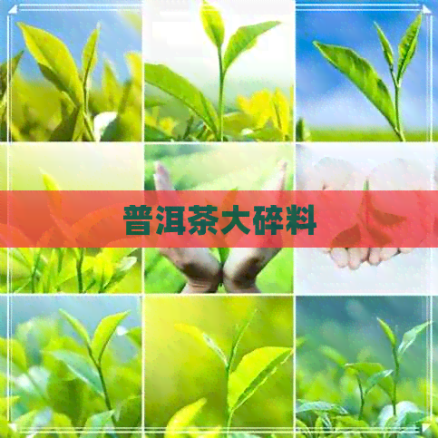 普洱茶大碎料