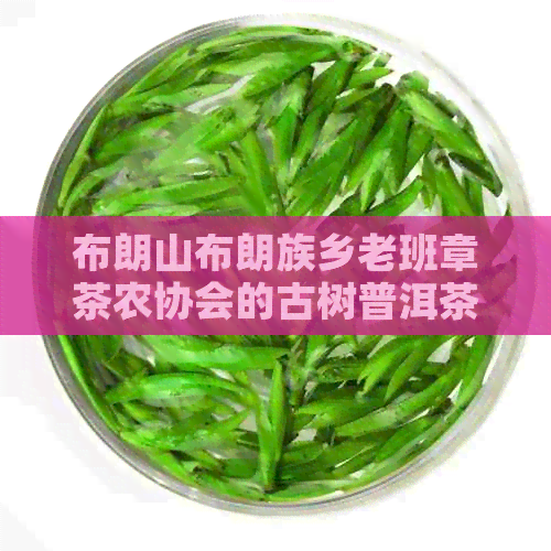 布朗山布朗族乡老班章茶农协会的古树普洱茶与价格信息