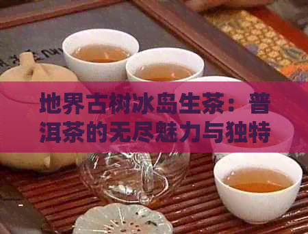 地界古树冰岛生茶：普洱茶的无尽魅力与独特价格