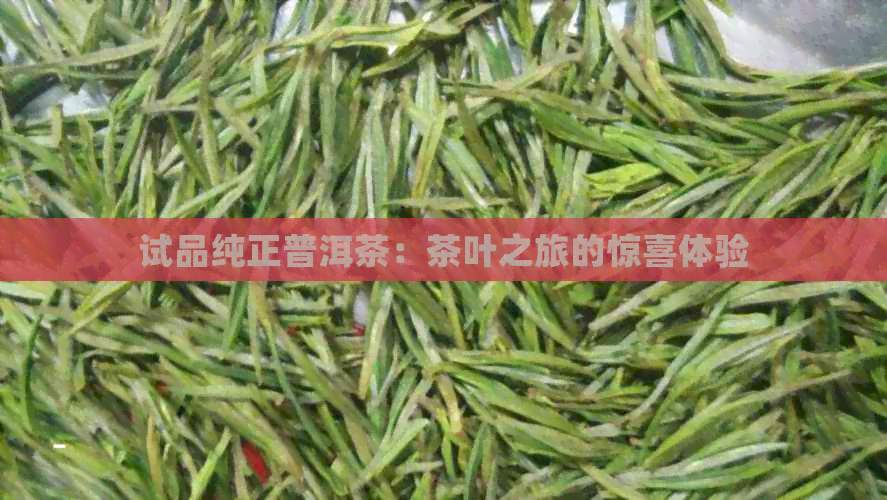 试品纯正普洱茶：茶叶之旅的惊喜体验