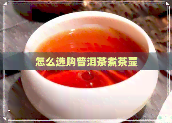 怎么选购普洱茶煮茶壶