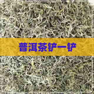 普洱茶铲一铲