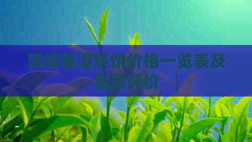 顶级普洱茶饼价格一览表及品质评价