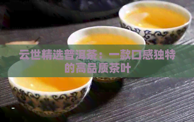 云世精选普洱茶：一款口感独特的高品质茶叶