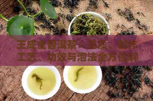 王成全普洱茶：品质、制作工艺、功效与泡法全方位解析