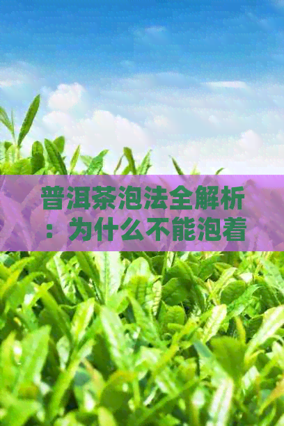 普洱茶泡法全解析：为什么不能泡着喝？正确的冲泡方法是什么？