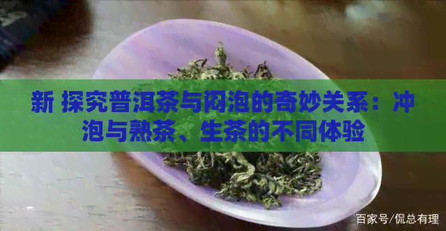 新 探究普洱茶与闷泡的奇妙关系：冲泡与熟茶、生茶的不同体验