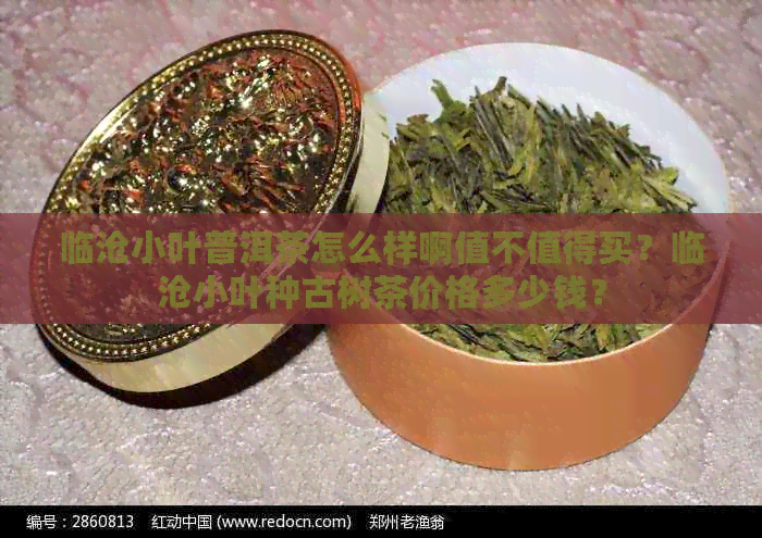 临沧小叶普洱茶怎么样啊值不值得买？临沧小叶种古树茶价格多少钱？